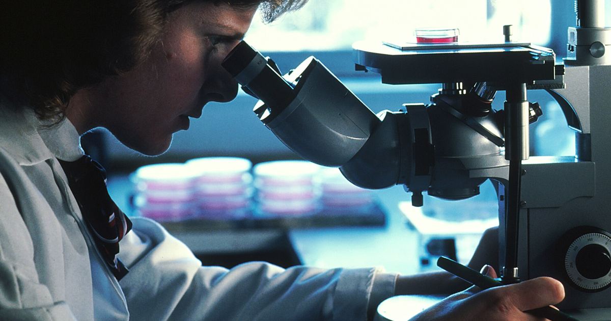 Bremelanotide and Glioblastoma Cells: 2024 Study FAQ
