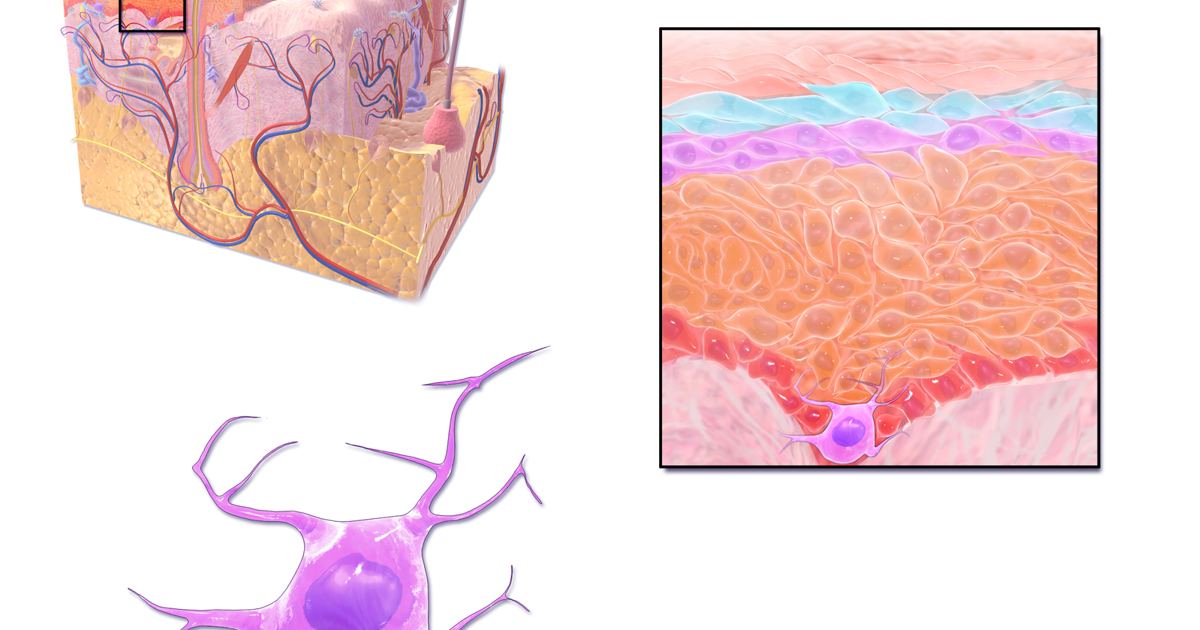 Hormones and Skin Pigmentation: Clinical Explainer