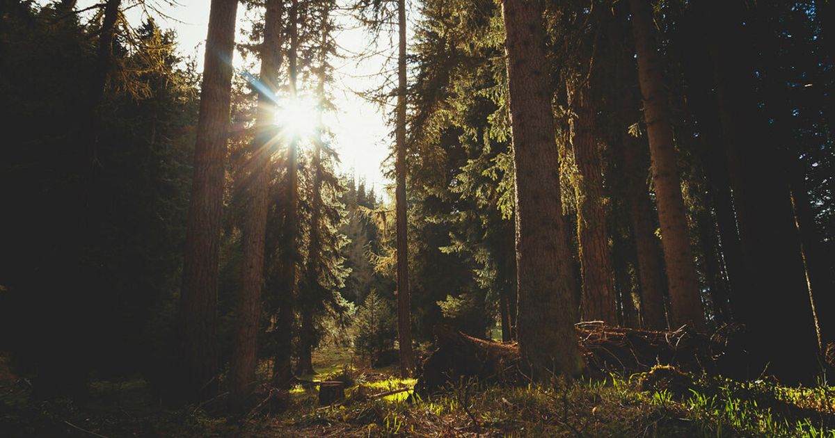 Vitamin D and Sun Exposure: What People Who Tan Should Know